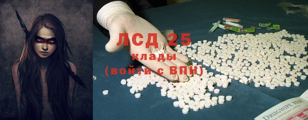 спиды Аркадак