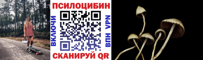 Псилоцибиновые грибы GOLDEN TEACHER  Калининск 