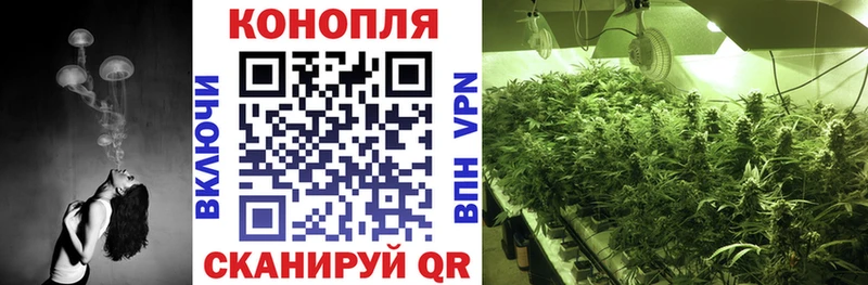 МАРИХУАНА Amnesia  kraken как войти  Калининск 